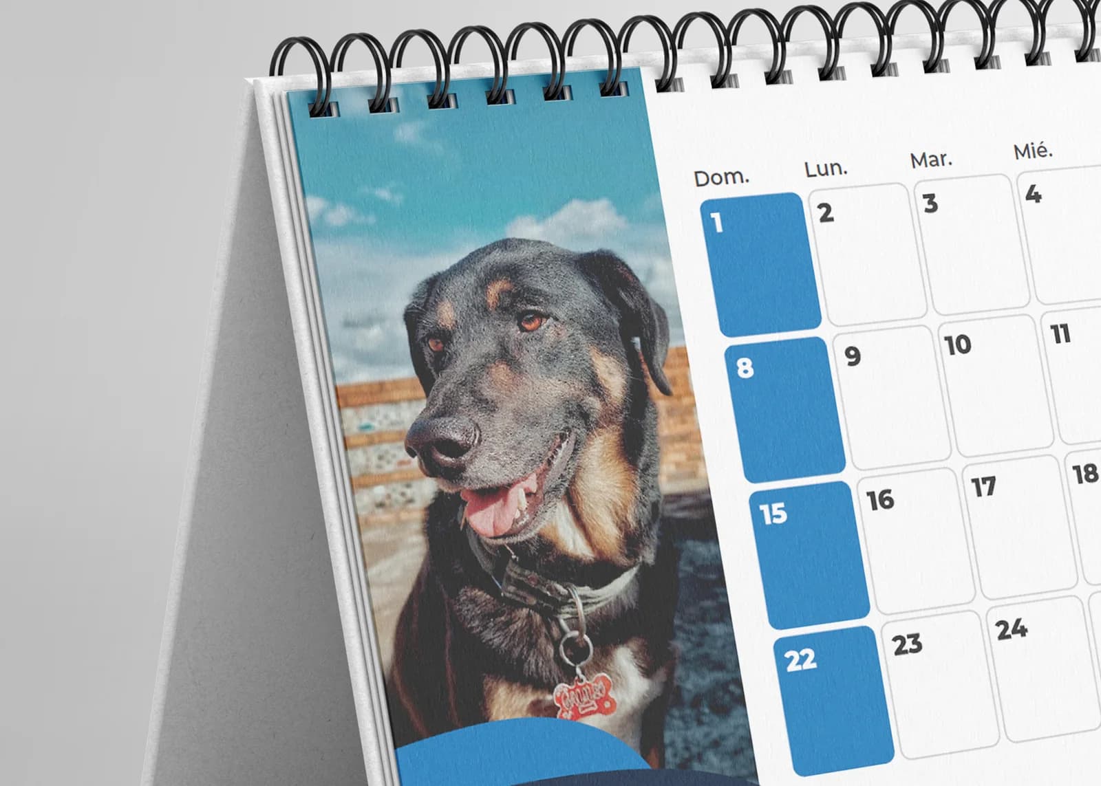 Detalle del calendario de escritorio Petis para mascotas